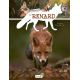 LE RENARD