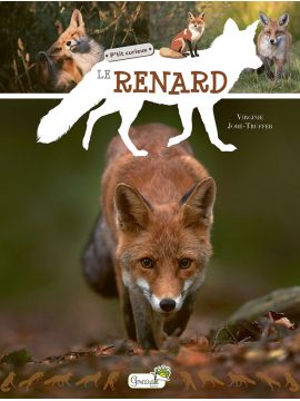 LE RENARD