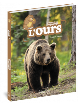 L'OURS