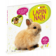 MON LAPIN NAIN