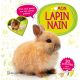 MON LAPIN NAIN