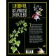 L'HERBIER DES APPRENTIS SORCIERS