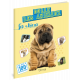 LES CHIENS COLLE LES ANIMAUX