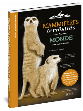 MAMMIFERES TERRESTRES DU MONDE