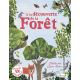 A LA DECOUVERTE DE LA FORET