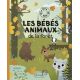 LES BEBES ANIMAUX DE LA FORET