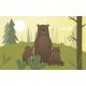 LES BEBES ANIMAUX DE LA FORET