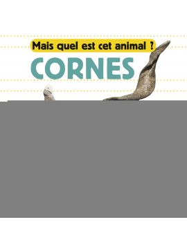 CORNES