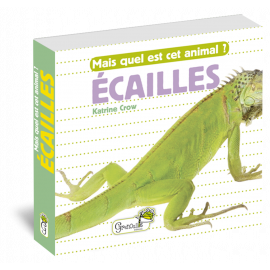 ECAILLES