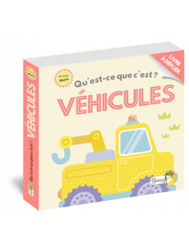 QU'EST CE QUE C'EST ? - VEHICULES