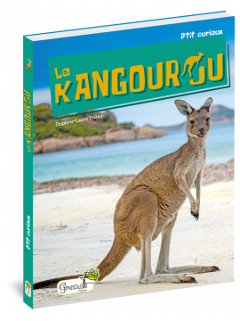 LE KANGOUROU