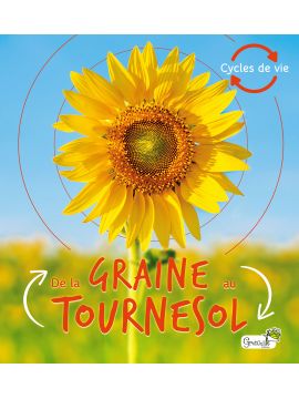 DE LA GRAINE AU TOURNESOL