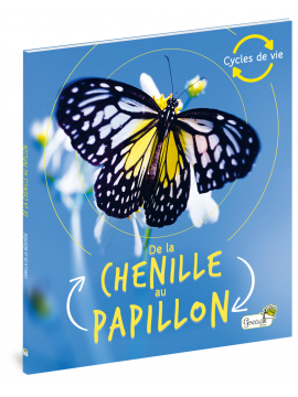 DE LA CHENILLE AU PAPILLON