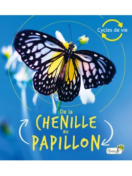 DE LA CHENILLE AU PAPILLON