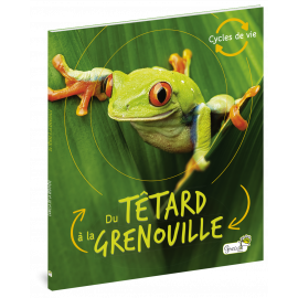 DU TETARD A LA GRENOUILLE