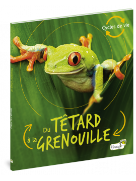 DU TETARD A LA GRENOUILLE