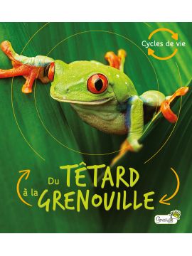 DU TETARD A LA GRENOUILLE