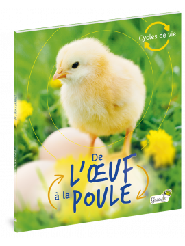 DE L'OEUF A LA POULE