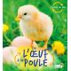 DE L'OEUF A LA POULE