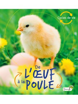 DE L'OEUF A LA POULE