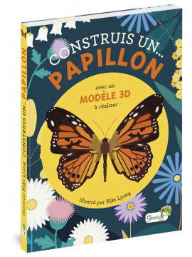 CONSTRUIS UN PAPILLON