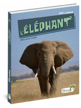 L'ELEPHANT