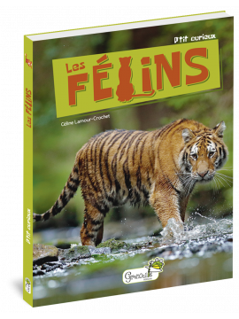 LES FELINS