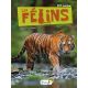 LES FELINS