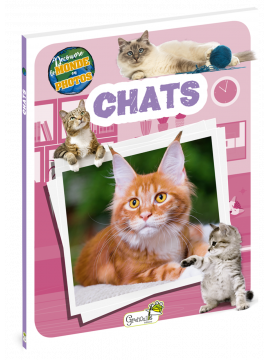 CHATS - DECOUVRE LE MONDE EN PHOTOS