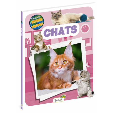 CHATS - DECOUVRE LE MONDE EN PHOTOS