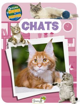 CHATS - DECOUVRE LE MONDE EN PHOTOS