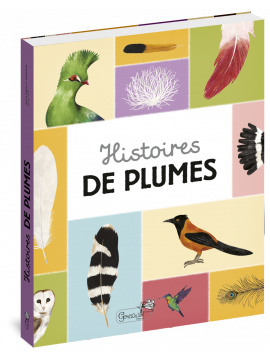 HISTOIRES DE PLUMES