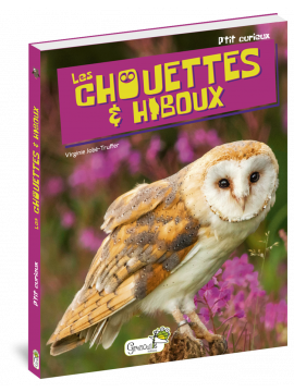 LES CHOUETTES & HIBOUX