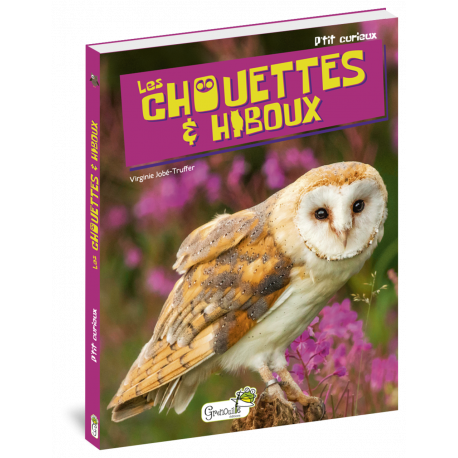 LES CHOUETTES & HIBOUX