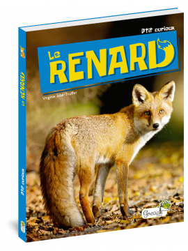 LE RENARD