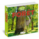 FORET - CACHE CACHE DANS LA NATURE