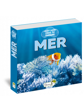 MER - CACHE CACHE DANS LA NATURE