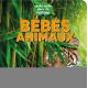 BEBES ANIMAUX - CACHE CACHE DANS LA NATURE