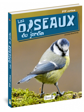 LES OISEAUX DU JARDIN