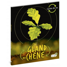 DU GLAND AU CHENE