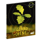 DU GLAND AU CHENE