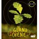 DU GLAND AU CHENE