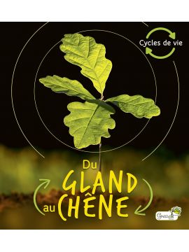 DU GLAND AU CHENE