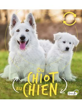 DU CHIOT AU CHIEN