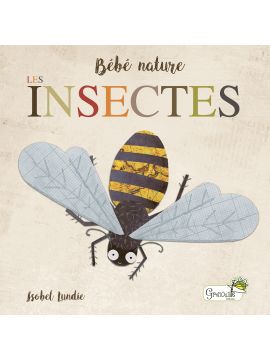 LES INSECTES