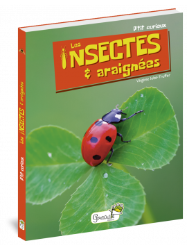 LES INSECTES ET ARAIGNEES