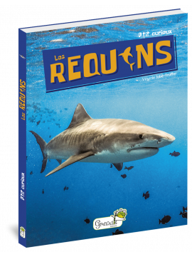 LES REQUINS