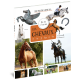 LES CHEVAUX QUIZ JEUX ET P'TITES INFOS