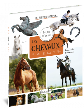 LES CHEVAUX QUIZ JEUX ET P'TITES INFOS