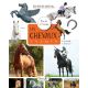 LES CHEVAUX QUIZ JEUX ET P'TITES INFOS